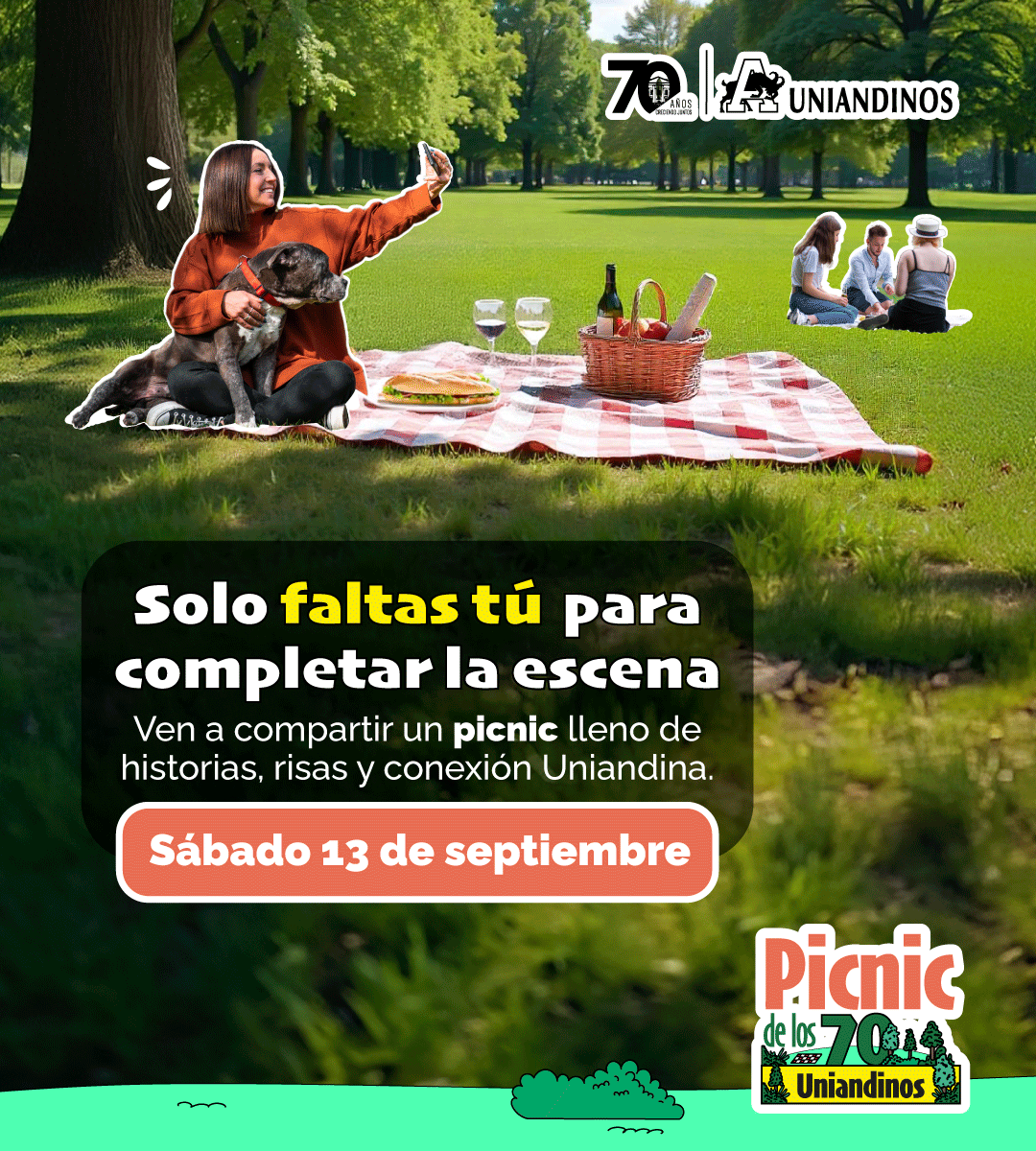 Picnic-70-banner-responsive-1080×1200 Picnic-70-banner-responsive-1080x1200